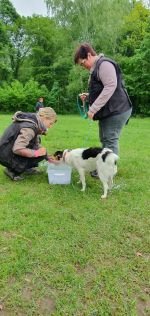 Nasenarbeit mit den Welpen und Junghunden 2019